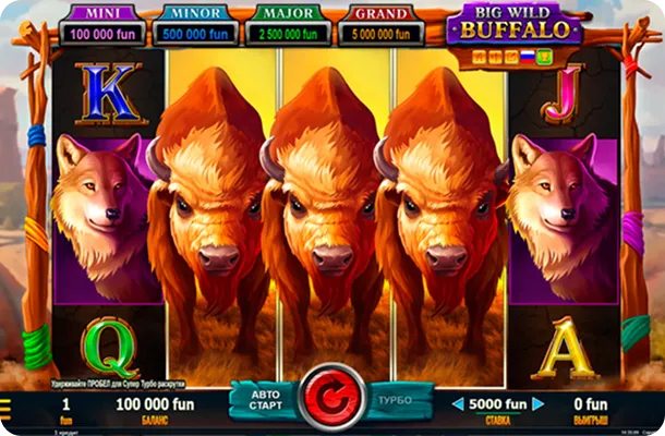 5 Wild Buffalo cover 5 Wild Buffalo big